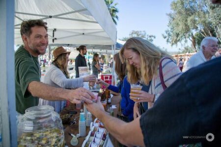 Fermenting Knowledge at Fermentation Festivals (with Kombucha Recipe) Image